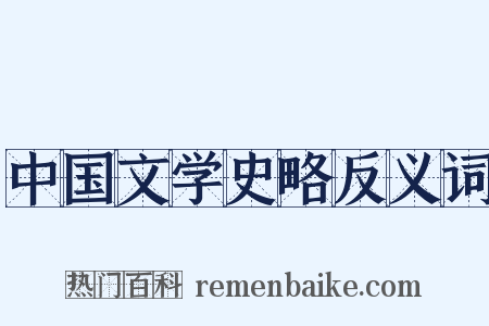 中国文学史略反义词是什么意思的图片